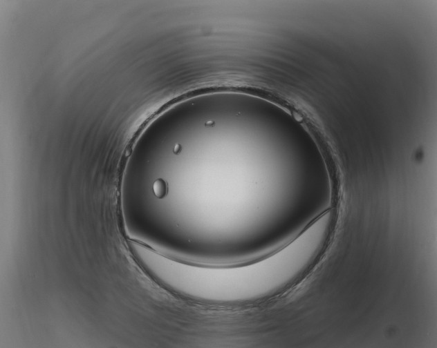 X0000116891081200912291258