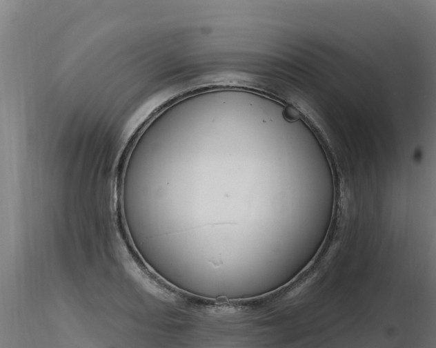 X0000116891082200912291258