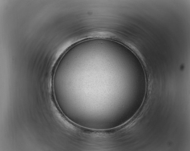 X0000116891083200912291258