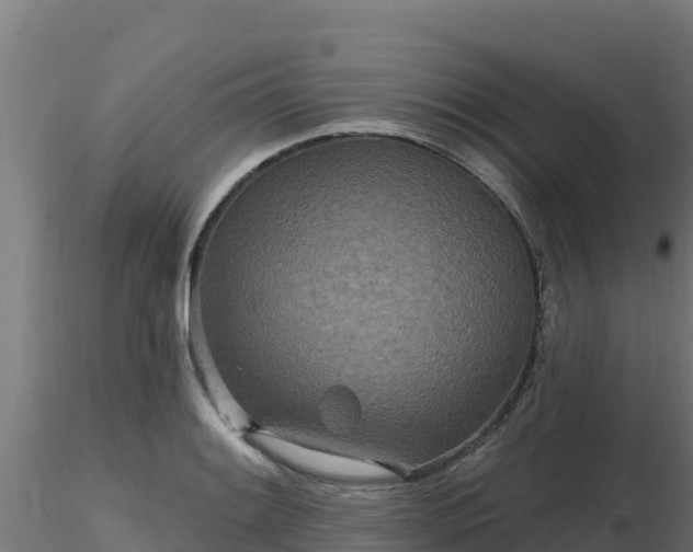 X0000116891084200912291258