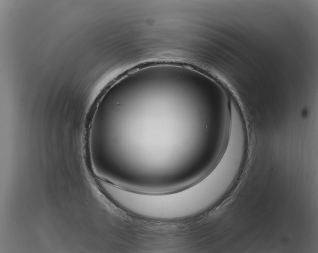 X0000116891085200912291258