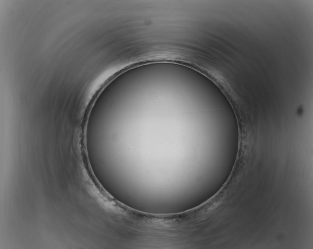 X0000116891086200912291258