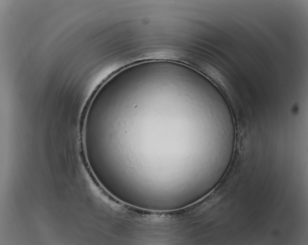 X0000116891087200912291258