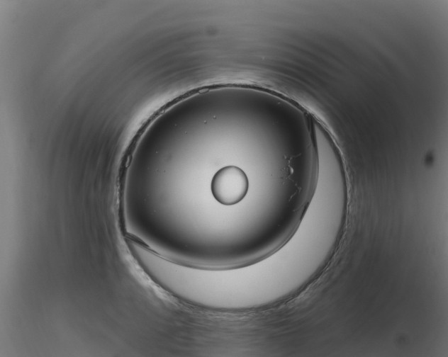 X0000116891088200912291258