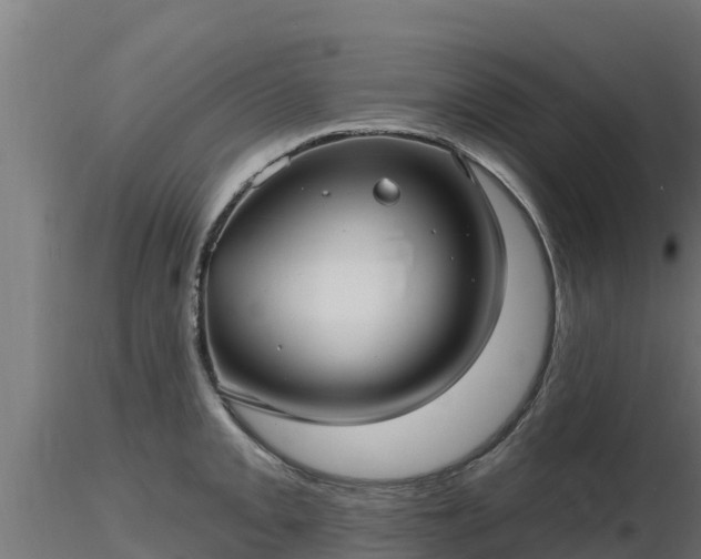X0000116891093200912291258