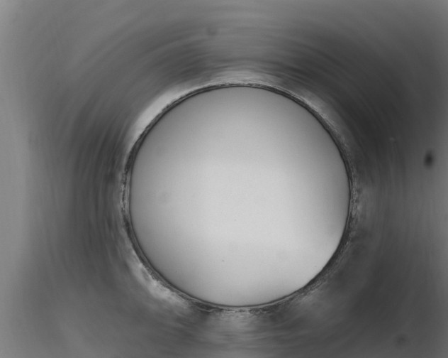 X0000116891094200912291258
