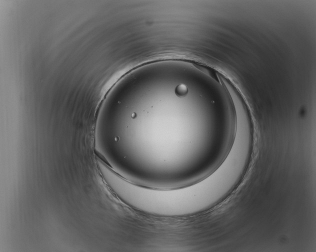 X0000116891097200912291258