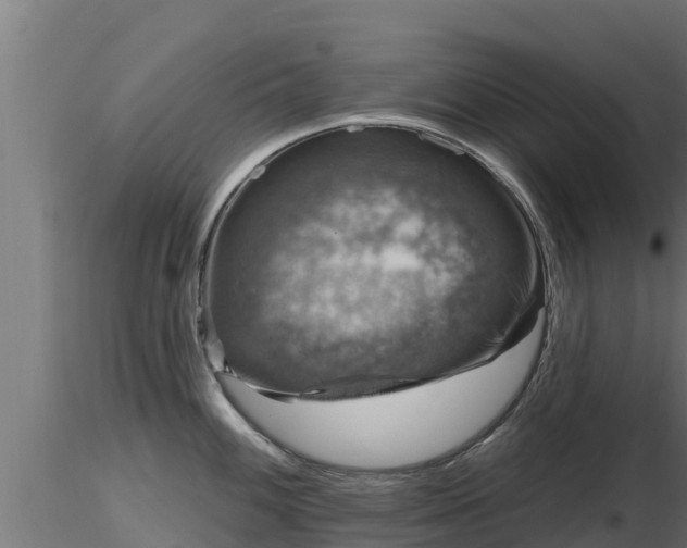 X0000116891100200912291258