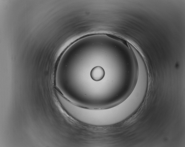 X0000116891101200912291258
