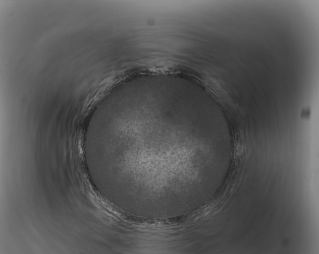 X0000116891106200912291257