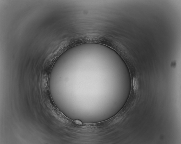 X0000116891107200912291257