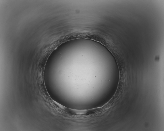 X0000116891109200912291257