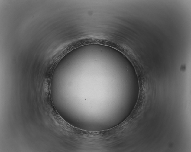 X0000116891110200912291257