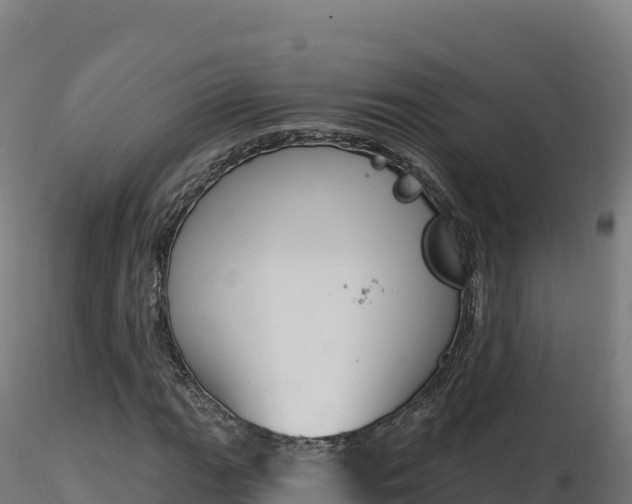X0000116891111200912291257