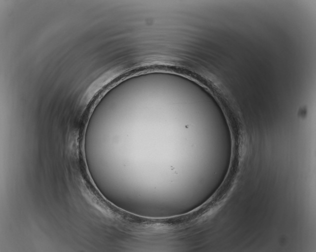 X0000116891113200912291257