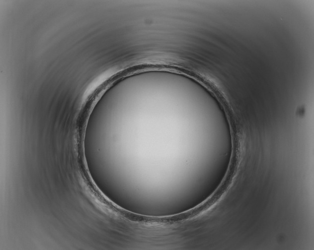 X0000116891114200912291257