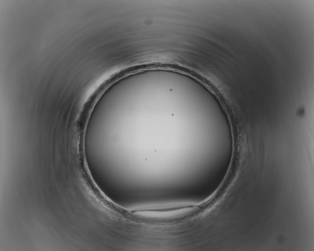 X0000116891118200912291257