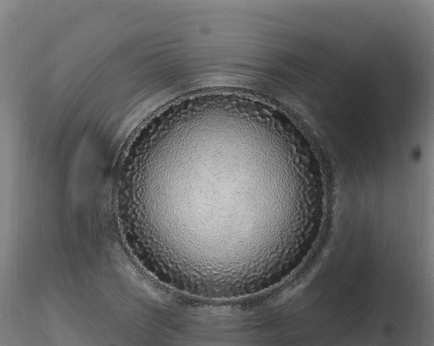 X0000116891121200912291257