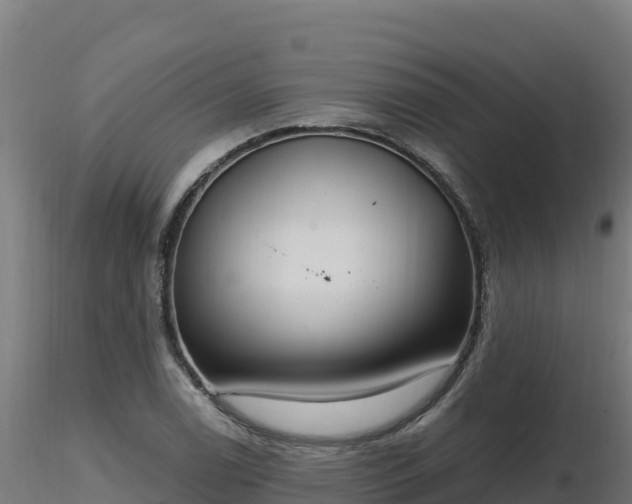 X0000116891122200912291257