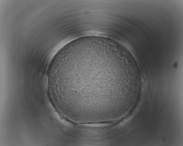 X0000116891125200912291257