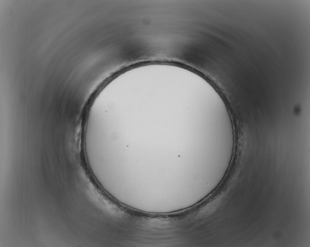 X0000116891126200912291257