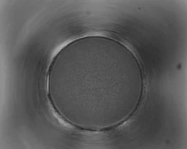 X0000116891127200912291257