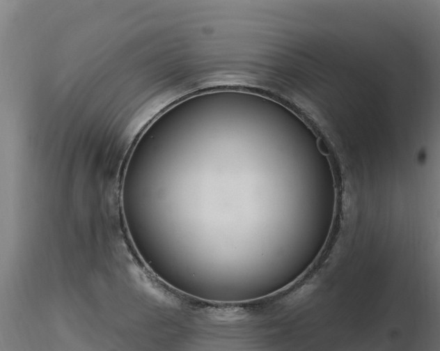 X0000116891129200912291257