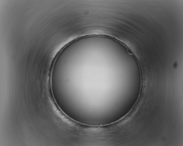 X0000116891134200912291257