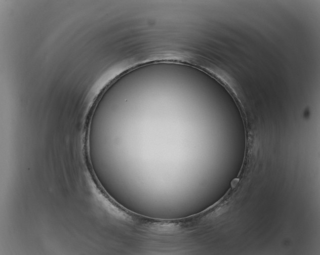 X0000116891135200912291257