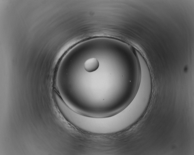 X0000116891138200912291258
