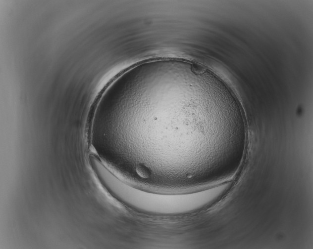 X0000116891141200912291258