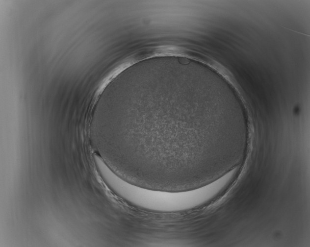 X0000116891145200912291258