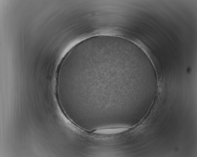 X0000116891147200912291258