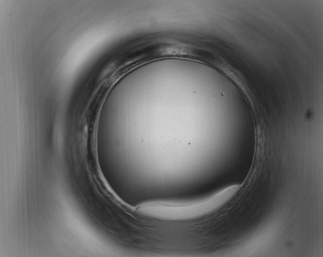 X0000116891151200912291258