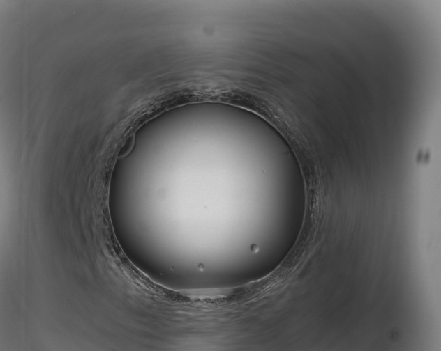 X0000116891153200912291257