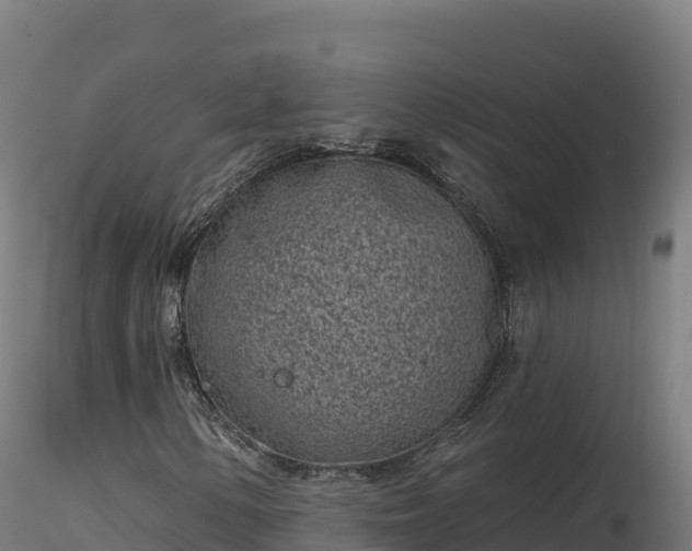 X0000116891154200912291257