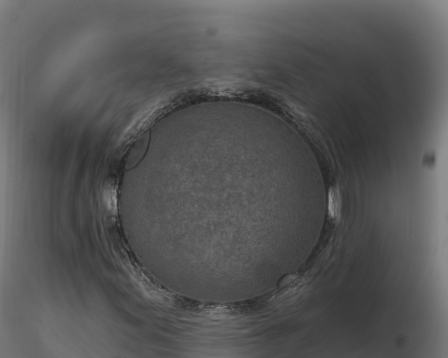 X0000116891155200912291257