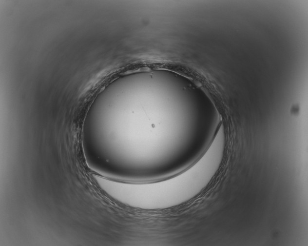 X0000116891157200912291257