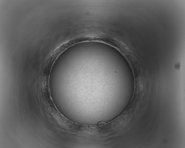 X0000116891158200912291257