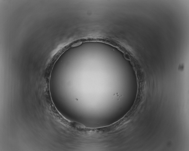 X0000116891160200912291257