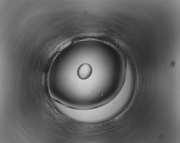 X0000116891161200912291257
