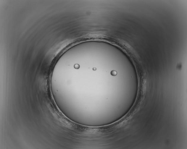 X0000116891162200912291257