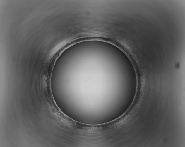X0000116891163200912291257