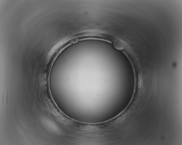 X0000116891164200912291257