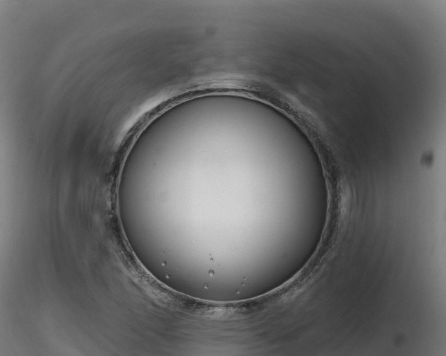 X0000116891166200912291257