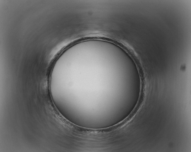 X0000116891167200912291257