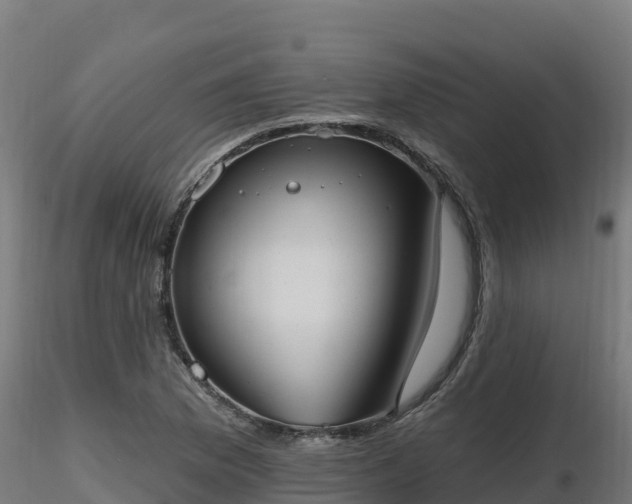 X0000116891169200912291257