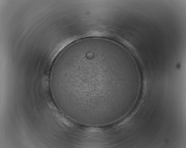X0000116891170200912291257