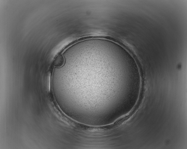 X0000116891171200912291257