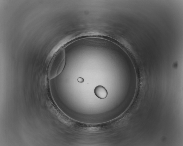X0000116891173200912291257